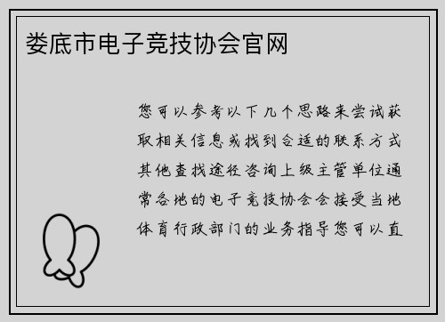 娄底市电子竞技协会官网